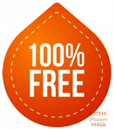 Test auction ad