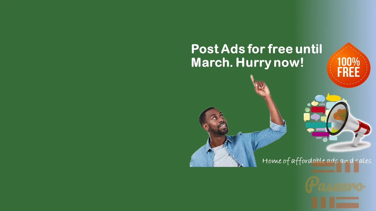 Test auction ad2